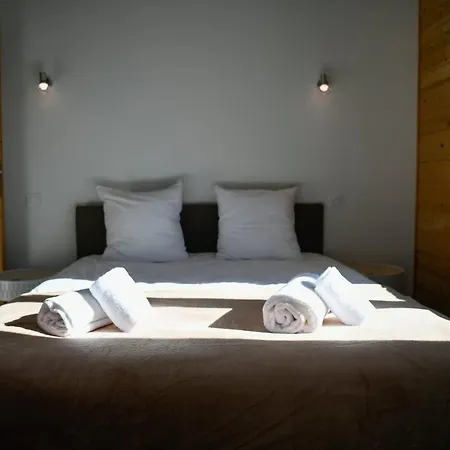 Coniferes Furnished Flat 아파트 샤모니