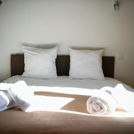 Coniferes Furnished Flat * 샤모니